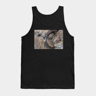 Sipping Water Tank Top